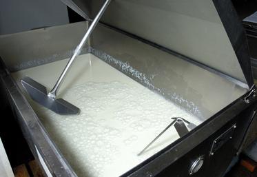 En plus des analyses menées lors d'avortement, il est possible de diagnostiquer le troupeau avec une analyse PCR sur lait de tank ou sur prélèvement d'environnement.