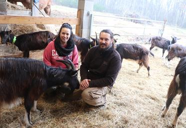 Clarisse Lanau et Guillaume Demenier produisent les savons bio à partir du lait de leurs chèvres poitevines.