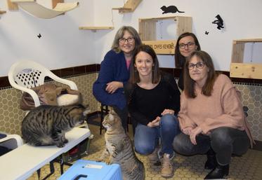 Les présidentes de l'association des Trois P'tits Chats-Rentais : Christelle et Patricia Couratier, Gabrielle Moncond'huy, et une bénévole : Aurélie.