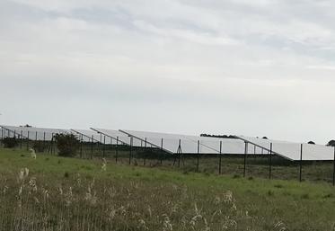 Bien régulés, les projets agrivoltaïques peuvent jouer un rôle dans l'autonomie énergétique nationale.