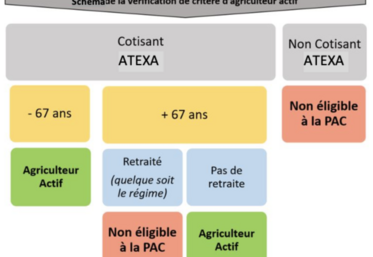 Pour percevoir les aides Pac, il faut être agriculteur actif. L'atexa, l'âge (+ ou - de 67 ans) et le statut de retraité ou non, conditionnent la définition de l'agriculteur actif.