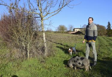 Benjamin Hovart présente une haie plantée il y a quelques années. Bientôt derrière lui, ce sont des arbres qui se dresseront au milieu de son champ.