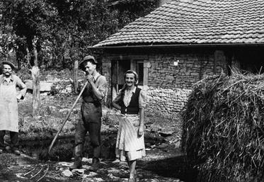 Les chambres d'agriculture ont largement contribué au développement du secteur agricole en conseillant, formant, accompagnant les agricultrices et les agriculteurs.