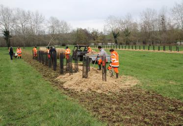 À Béthines, la plantation de haies a été réalisée par les salariés du chantier d'insertion de la communauté de communes Vienne et Gartempe.
