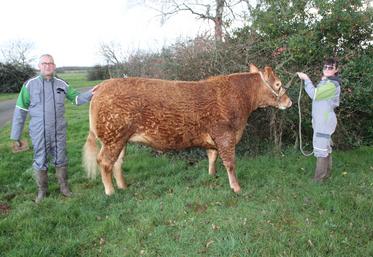 En attendant sa sortie au Sia, Sibelle est régulièrement bichonnée par ses éleveurs.