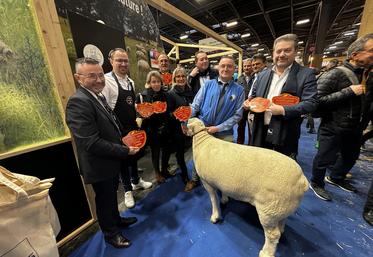 Philippe Berger revient les valises pleines de pas moins de 10 médailles pour ses moutons île de France.