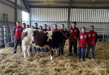 Les douze élèves membres de l'équipe des Sicaudières
avec Tatiana, la génisse de 2 ans.
