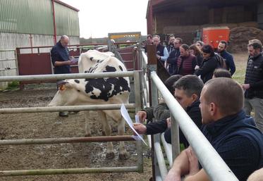 Les participants à l'assemblée générale ont eu droit à une présentation d'animaux du Gaec des Pommiers-Bernard par Gènes Diffusion.