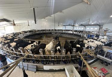 Salle de traite rotative de l'exploitation Granja San José.