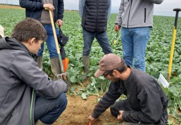 Le suivi de formation est prévu sur deux ans environ.
