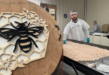 Damien Schweigart, le responsable de la production de la confiserie angérienne.