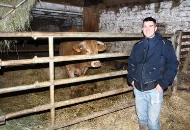Stéphane Naffréchoux rentre ses vaches en bâtiment uniquement au moment des vêlages.