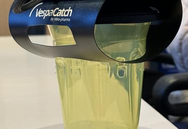 Dès maintenant, il faut mettre en place un piège sélectif.