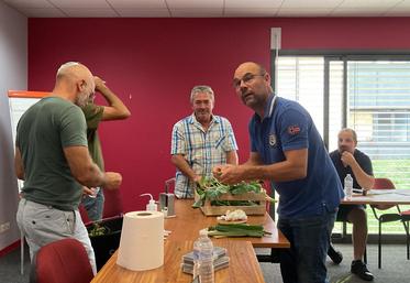 Au démarrage, la formation prend le temps de développer le lien entre santé des plantes et du sol.