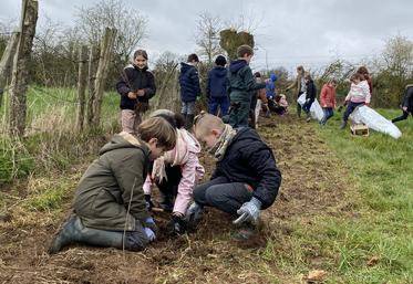 Vingt-trois élèves d'une petite dizaine d'année de l'école Roger-Vasseur de La Ferrière-en-Parthenay se sont prêtés au jeu de la plantation