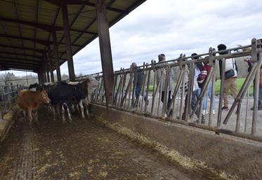 Une dizaine de jeunes ont visité la ferme de la Grande Dennerie.
