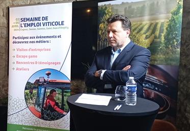 Florent Morillon, président du BNIC, a présenté la semaine de l'emploi viticole.