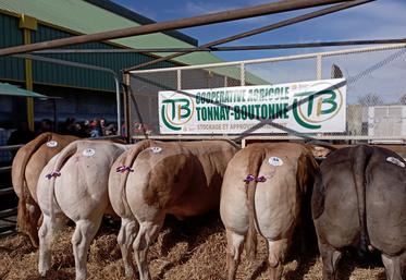 L'édition 2024 a rassemblé moins d'animaux, mais la qualité est toujours là.