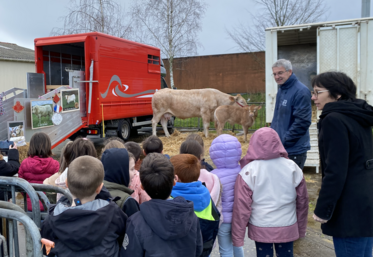 Emmanuel Pin, éleveur, présente une Blonde d'Aquitaine aux enfants. Ils ont pu brosser l'animal, donner du foin, sentir l'odeur de la ration de concentrés...