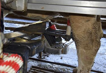 Robot de traite Lely A4.