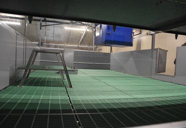 La zone de refuge est un endroit stratégique, qui permet de limiter le stress lié au sevrage
et de faciliter l'enlèvement des lapins grâce à ses cloisons amovibles.