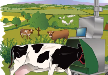 Le système Greenfeed est un DAC dans lequel l'air est aspiré
au niveau des naseaux et de la bouche de l'animal pendant
que celui-ci consomme sa portion de fourrage.