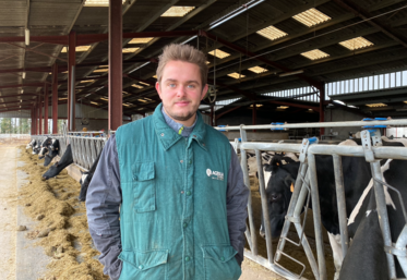 Thomas Bitaudeau, éleveur à Mauzé-Thouarsais et président de l'association Prim'Holstein des Deux-Sèvres.