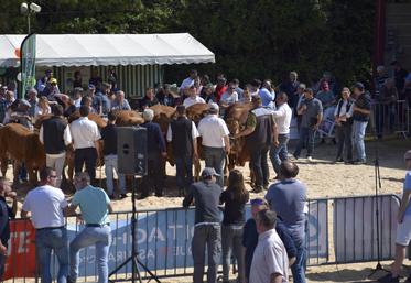 Plus d'une centaine d'animaux se sont succédé sur le ring pendant les deux jours du festival.
