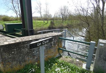 Selon les objectifs actuels, le bassin d'irrigation du Curé doit en effet voir ses prélèvements ramenés à 4,7 millions de mètres cubes (Mm3) contre 7,9 Mm3 actuellement.