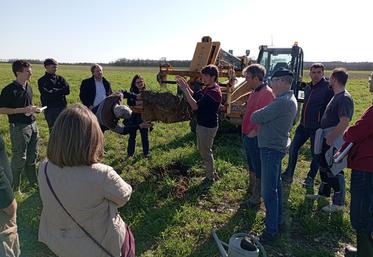 La démonstration a eu lieu sur une parcelle avec un couvert végétal mêlant trois graminées (avoine, seigle, triticale) et trois légumineuses (vesce commune, vesce velue, trèfle squarrosum).