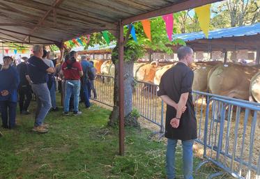 Le soleil, voire une chaleur inhabituelle pour la saison, était au rendez-vous pour la Foire de Saint-Maixent.