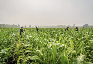 La base de données fournie par Arvalis permet de bénéficier d'informations pré-remplies sur les caractéristiques des sols de son secteur. 