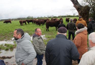 Une vingtaine d'éleveurs de salers se sont retrouvés sur l'exploitation de Damien Groseau (à gauche) à Charroux.