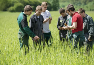 Un bachelor agricole (niveau bac +3) va être créé et des stages immersifs vont être organisés.