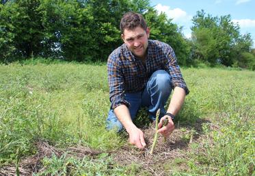 La pluie a rendu compliqué le butage des asperges blanches... finalement devenues vertes.