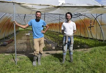 Adrien Appay et François Michel, les nouveaux maraîchers de l'espace test agricole.