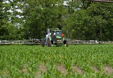 Le retour des pluies, mêmes légères (il suffit de 10 mm de pluie dans les dix jours suivants), va optimiser le désherbage effectué.
