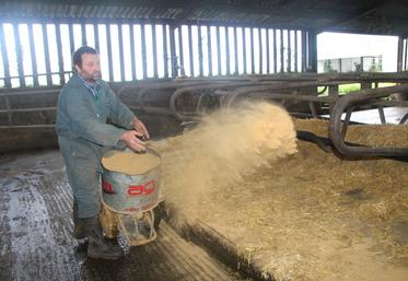 Pascal Guillon utilise la dolomie sèche avec de la paille, pour assécher la litière de ses vaches laitières.