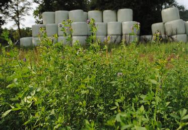 Un enrubannage de qualité pour limiter les problèmes sanitaires.