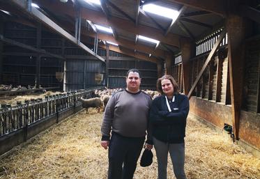 Jeunes parents, Quentin et Estelle ont une exploitation de 117 ha et un cheptel de 540 moutons qu'ils élèvent selon les critères des cahiers des charges exigeants.