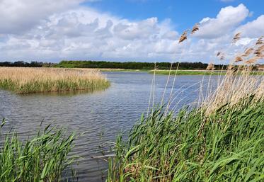 Une convention est sur le point d'être signée entre la FDC17 et le Centre d'études biologiques de Chizé pour assurer le suivi de la vipère aspic, une espèce protégée.