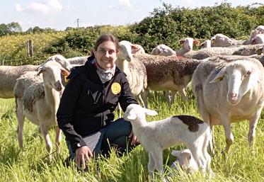 D'ici la fin de l'année, Audrey Tricard espère bien proposer des fromages de brebis.