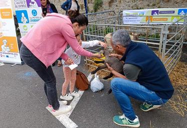 anefa place a l'agri