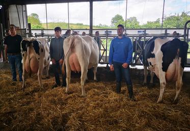 Nicolas Chevallier (à droite), son neveu et son père posent dans le bâtiment de la ferme de la Brechollière, à côté de trois vaches présentées le jour de l'AG. 