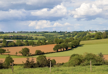 Le prix moyen des terres dans la région est de 5 440 €/ha.