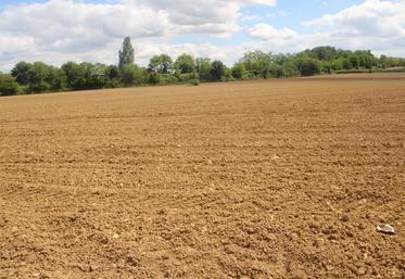 Certaines parcelles sont longtemps restées vides.