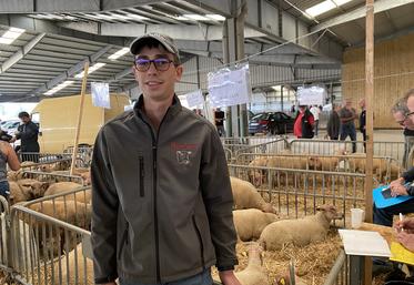 Romain Rogemont est venu de la Nièvre pour vendre les Charollais de la ferme familiale.