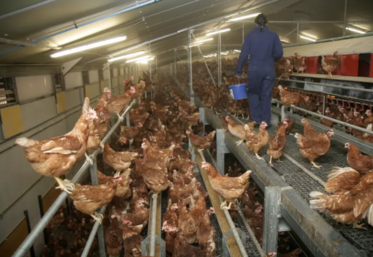 Pour atteindre les objectifs fixés, il faudra la création d'un nouveau bâtiment par semaine sur les six prochaines années, selon le CNPO.