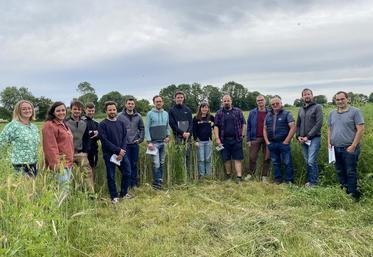 Agriculteurs habitués ou non des méteils et techniciens ont échangé sur les techniques de culture, sur l'initiative des syndicats d'eau qui encouragent la pratique.