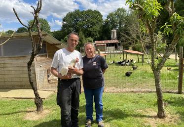 David et Michèle Rousseau viennent d'obtenir la "petite fleur jaune" du réseau Bienvenue à la ferme, comme une reconnaissance de leur élevage local et de la qualité de leurs produits. Lors des fêtes de fin d'année, ils proposent des repas à emporter à base de volailles.